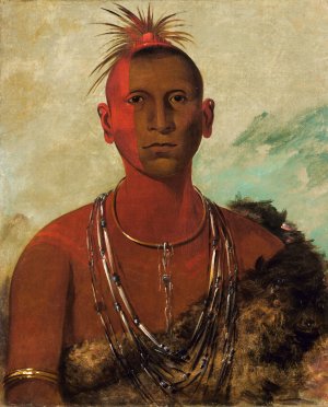 Nah-Se-us-Kuk, Whirling Thunder, Eldest Son of Black Hawk by George Catlin Oil Painting