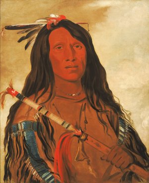 Ne-Hee-o-Ee-Woo-Tis, Wolf On The Hill, Chief of The Tribe by George Catlin Oil Painting