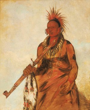 No-o-mun-nee, Walks in the Rain, a Warrior by George Catlin Oil Painting