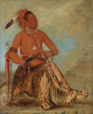 Nom-Ba-Mon-Nee, Double Walker, a Brave by George Catlin Oil Painting