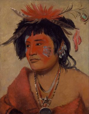 Pah-Shee-Nau-Shaw, a Warrior by George Catlin Oil Painting