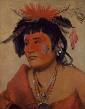 Pah-Shee-Nau-Shaw, a Warrior by George Catlin Oil Painting