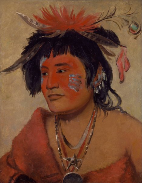 Pah-Shee-Nau-Shaw, a Warrior  by George Catlin - Hand-Painted Oil Painting Reproduction