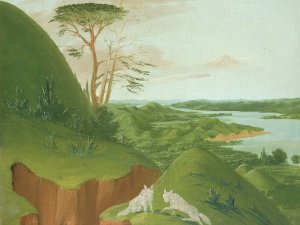 River Bluffs With White Wolves In The Foreground, Upper Missouri by George Catlin Oil Painting