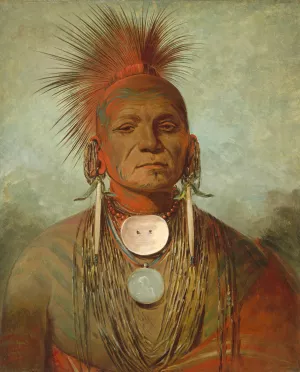 See-non-ty-a, an Iowa Medicine Man by George Catlin Oil Painting
