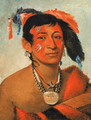 Sha-Wa-No, The South, a Noted Warrior by George Catlin Oil Painting