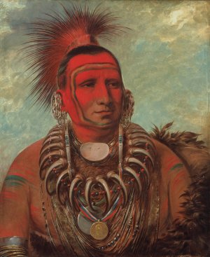 Shon-Ta-Yi-Ga, Little Wolf, a Famous Warrior by George Catlin Oil Painting