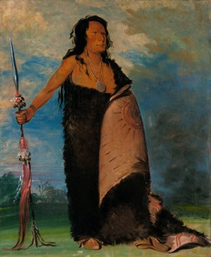 Shoo-De-Ga-Cha, The Smoke, Chief of The Tribe by George Catlin Oil Painting