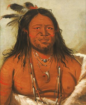 Ta-Wah-Que-Nah, Mountain of Rocks, Second Chief of The Tribe by George Catlin Oil Painting