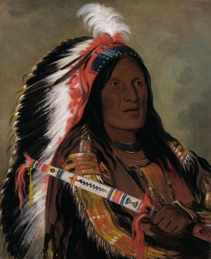 Tah-Teck-A-Da-Hair, Steep Wind, a Brave of The Bad Arrow Points Band by George Catlin Oil Painting