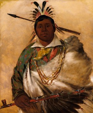 Teh-Ke-Neh-Kee, Black Coat, a Chief Oil painting by George Catlin