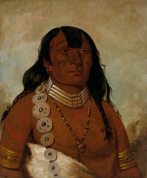 Teh-Toot-Sah by George Catlin Oil Painting