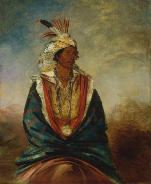 Tel-Maz-Ha-Za, a Warrior of Distinction by George Catlin Oil Painting