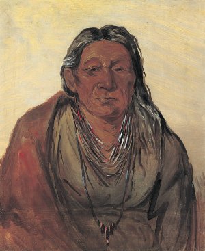 Wah-pe-seh-see, Mother of the Chief by George Catlin Oil Painting