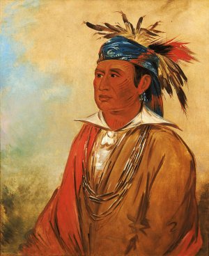 Wah-Pon-Jee-A, The Swan, a Warrior by George Catlin Oil Painting
