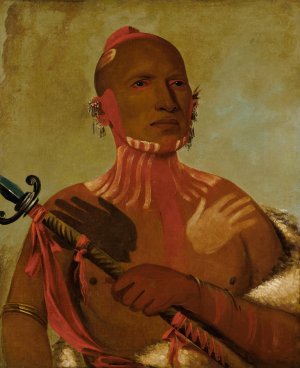 Wee-Sheet, Sturgeon's Head, a Fox Warrior by George Catlin Oil Painting