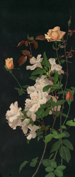 Azaleas and Roses by George Cochran Lambdin Oil Painting