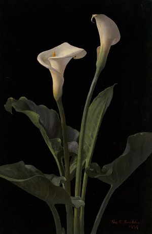 Calla Lilies by George Cochran Lambdin Oil Painting