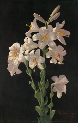 Easter Lily by George Cochran Lambdin Oil Painting