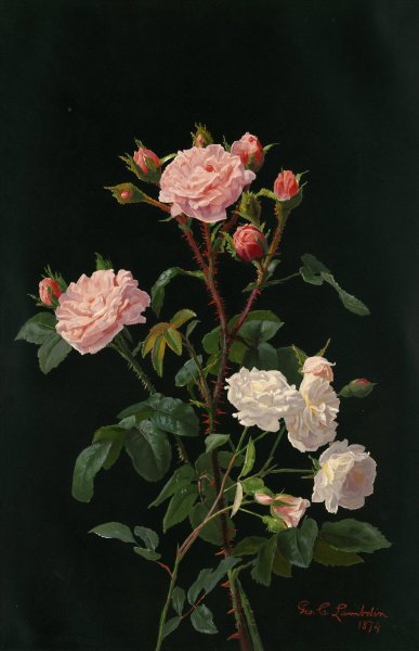 Main Product Photo of Pink and White Roses  Painting by George Cochran Lambdin