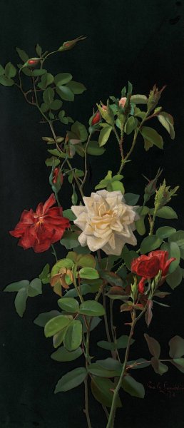 Main Product Photo of Roses and Buds  Painting by George Cochran Lambdin