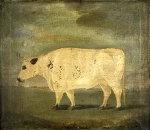Teesdale Ox painting by George Cuitt