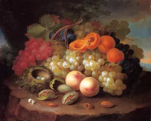 Still Life with Fruit and Bird's Nest by George Forster - Oil Painting Reproduction