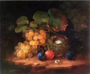 Still Life with Fruit, Bird's Nest and Broken Egg by George Forster - Oil Painting Reproduction