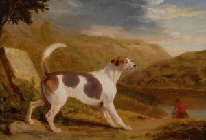 Colonel Thornton's Hound 'lucifer'In A Scottish Landscape by George Garrard Oil Painting