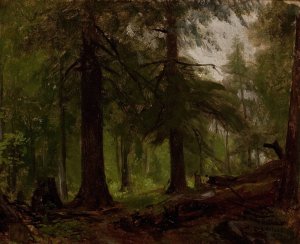 Forest Interior by George Hetzel Oil Painting