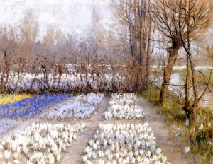 Spring Crosuc Fields by George Hitchcock - Oil Painting Reproduction