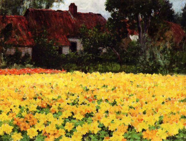Yellow Nasturtiums by George Hitchcock - Hand-Painted Oil Painting Reproduction