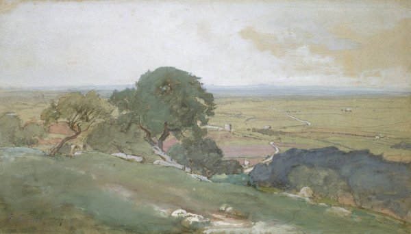 Olive Trees at Tivoli  by George Inness - Hand-Painted Oil Painting Reproduction