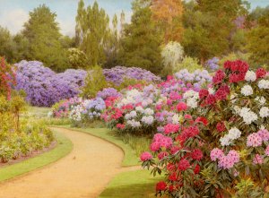 The Rhododendron Walk by George Marks Oil Painting