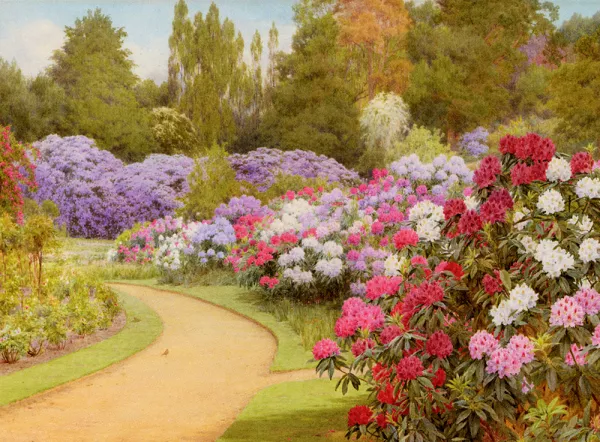 The Rhododendron Walk painting by George Marks