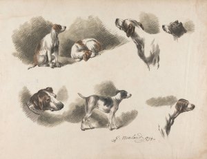 Seven studies on hound by George Morland Oil Painting