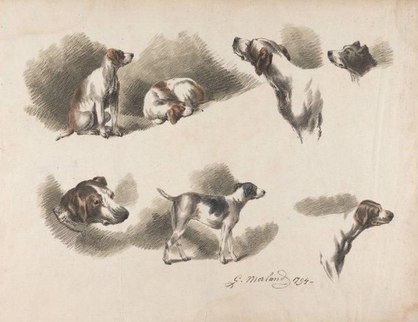 Seven studies on hound  by George Morland - Hand-Painted Oil Painting Reproduction
