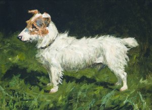 Piper, A Jack Russell Terrier by George Paice Oil Painting
