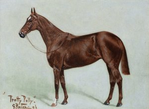 Pretty Polly by George Paice Oil Painting