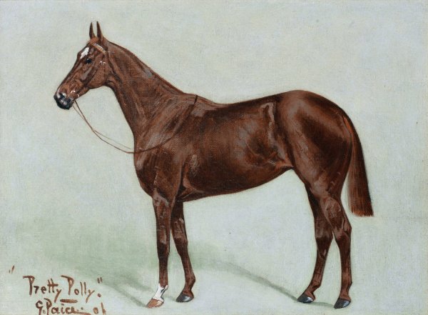 Pretty Polly by George Paice - Hand-Painted Oil Painting Reproduction