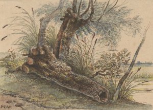 Boomstronk in het riet by George Pieter Westenberg Oil Painting