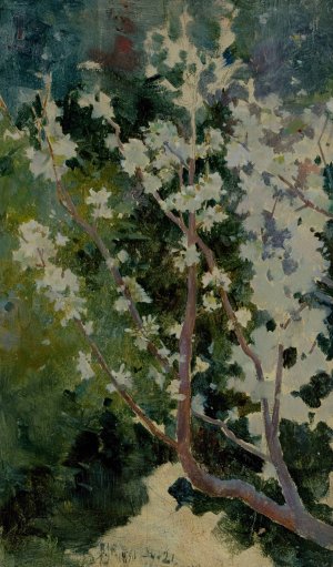 Capri by George Randolph Barse Oil Painting
