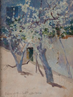 Tree, Capri by George Randolph Barse Oil Painting