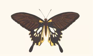Deiphobus Oil painting by George Shaw