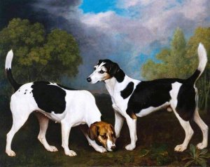 A Couple of Foxhounds Oil painting by George Stubbs