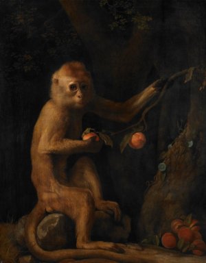 A Monkey by George Stubbs Oil Painting