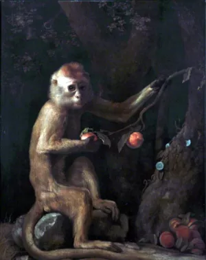 A Monkey by George Stubbs - Oil Painting Reproduction