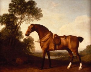 A Saddled Bay Hunter  by George Stubbs Oil Painting