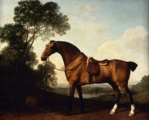 A Saddled Bay Hunter by George Stubbs Oil Painting