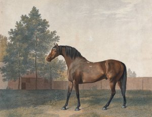 Anvil by George Stubbs Oil Painting